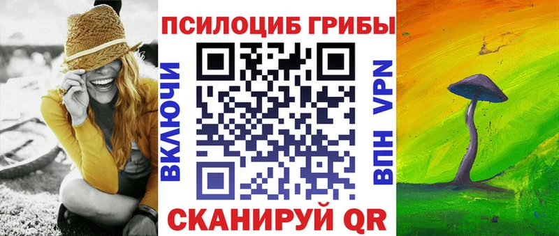 купить наркотики сайты  Шадринск  Псилоцибиновые грибы прущие грибы 